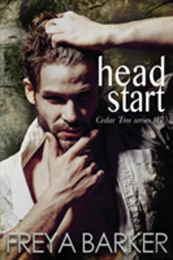 Bertrand.pt - Head Start