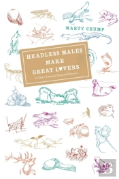Headless Males Make Great Lovers