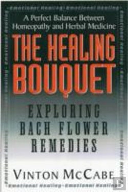 Bertrand.pt - Healing Bouquet