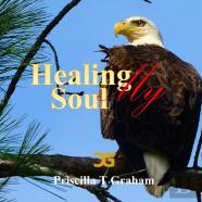 Healing My Soul