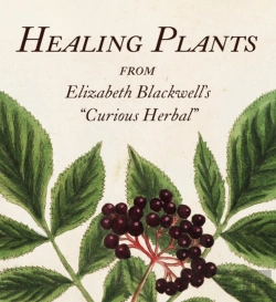 Bertrand.pt - Healing Plants