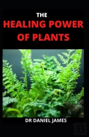 Healing Power Of Plant