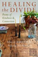 Healing The Divide