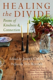 Healing The Divide