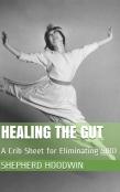 Healing The Gut