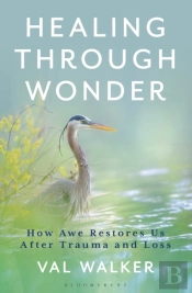 Healing Through Wonder