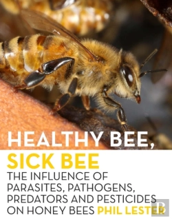 Bertrand.pt - Healthy Bee, Sick Bee