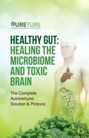 Healthy Gut And Autoimmune Diet 101