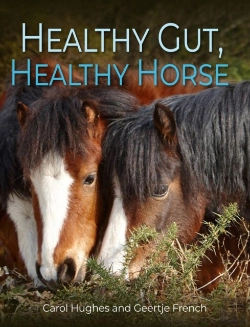 Bertrand.pt - Healthy Gut, Healthy Horse