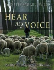 Hear My Voice