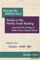 Hearing The Biblical Voice