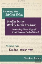 Hearing The Biblical Voice