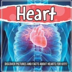 Bertrand.pt - Heart