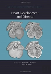 Heart Development And Disease