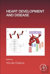 Heart Development And Disease