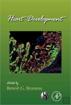 Bertrand.pt - Heart Development