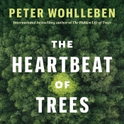 Heartbeat Of Trees