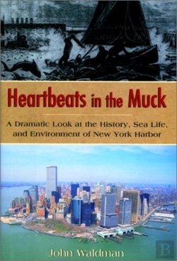 Bertrand.pt - Heartbeats In The Muck