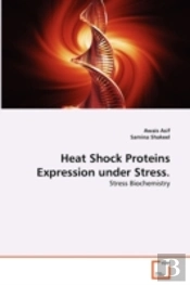 Heat Shock Proteins Expression Under Stress.