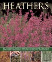Heathers