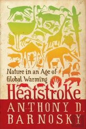 Heatstroke