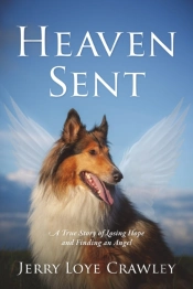 Heaven Sent: A True Story Of Losing Hope