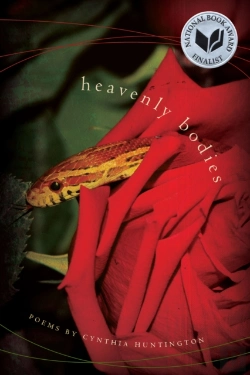 Bertrand.pt - Heavenly Bodies