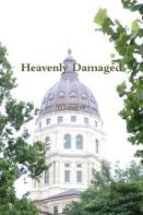 Heavenly Damaged