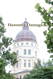Heavenly Damaged