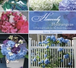 Bertrand.pt - Heavenly Hydrangeas