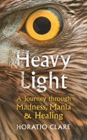 Heavy Light