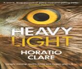 Heavy Light