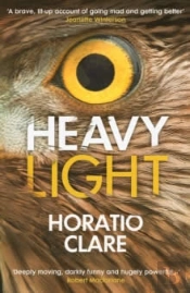 Heavy Light
