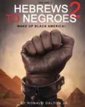 Hebrews To Negroes 2