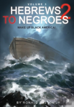 Hebrews To Negroes 2 Volume 3