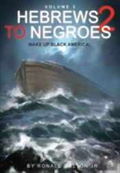 Hebrews To Negroes 2 Volume 3