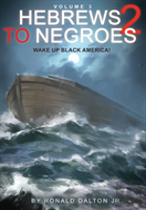 Hebrews To Negroes 2 Volume 3