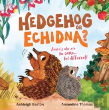 Hedgehog Or Echidna?