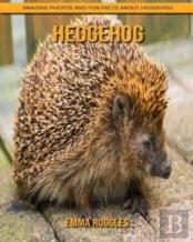 Hedgehog