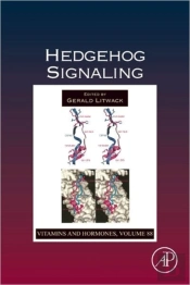Hedgehog Signaling