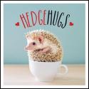 Hedgehugs