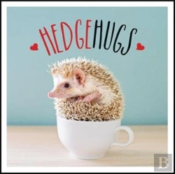 Bertrand.pt - Hedgehugs