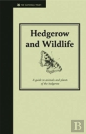 Hedgerow And Wildlife