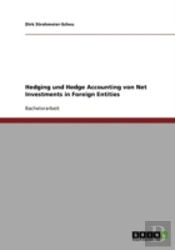 Hedging Und Hedge Accounting Von Net Investments In Foreign Entities
