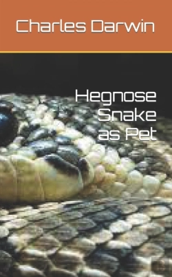 Bertrand.pt - Hegnose Snake As Pet