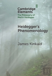 Heideggerâ€™S Phenomenology