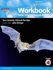 Heinemann Explore Science 2nd International Edition Workbook 4