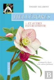 Hellebores Et Autres Fleurs D'Hiver ; Comment Les Choisir Et Les Cultiver Facilement