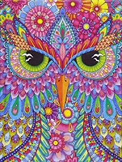 Bertrand.pt - Hello Angel Lined Journal Owl