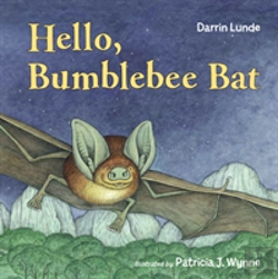 Bertrand.pt - Hello, Bumblebee Bat